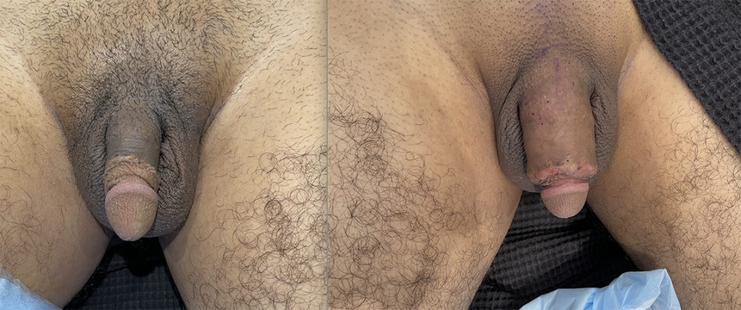 249417-2of9-1080x452