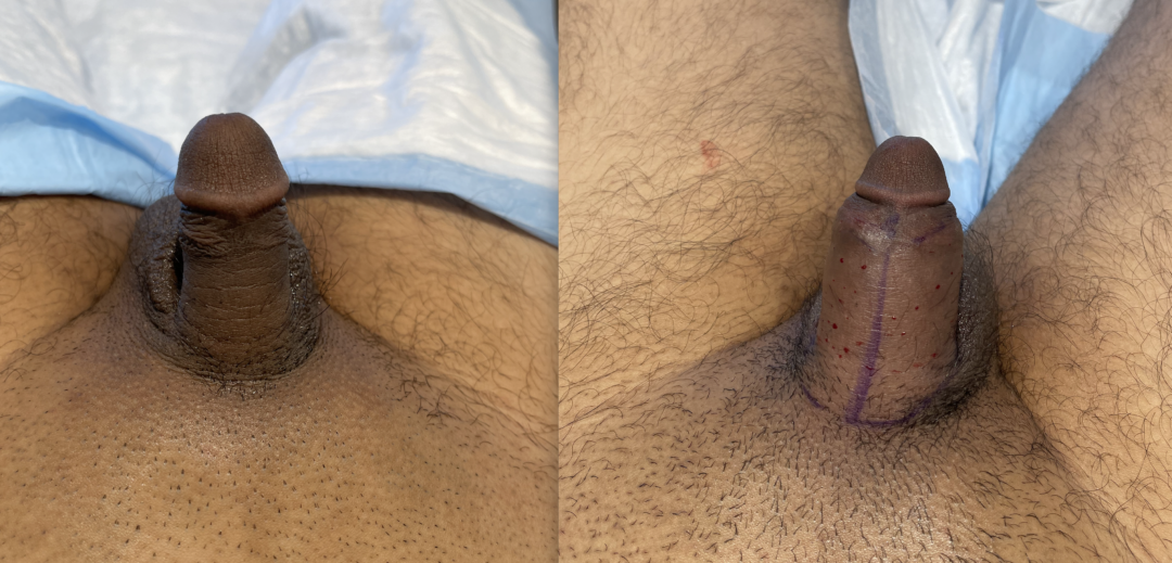 249488-3-1080x519